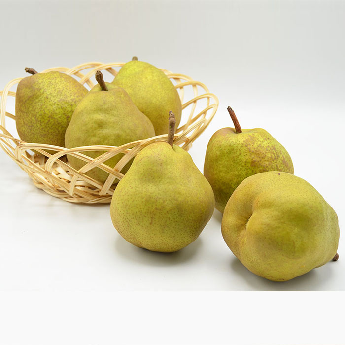 【特秀】山形の極上 ラフランス 特秀品 約5kg(12～16玉)[11月お届け]【令和8年産先行予約】FS25-780