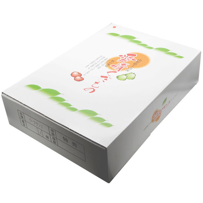 【特秀】山形の極上 ラフランス 特秀品 約5kg(12～16玉)[11月お届け]【令和8年産先行予約】FS25-780