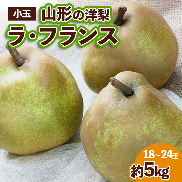 山形の洋梨 ラフランス 優品 約5kg (小玉2L～M/18～24玉)[11月発送]【令和8年産先行予約】FS25-782