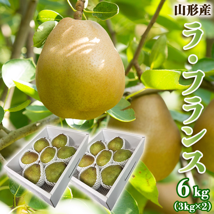 山形のラ・フランス 秀 約6kg(12～18玉・3L～6L)[12月発送]【令和8年産先行予約】 FS25-785