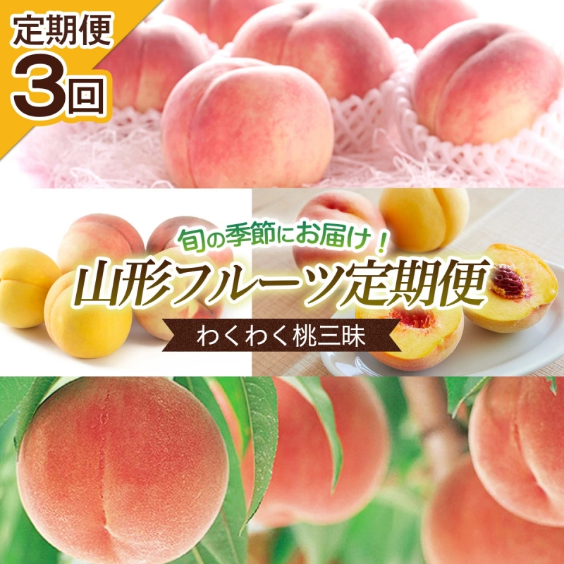 【定期便3回】旬の時期にお届け！わくわく桃三昧定期便 【令和8年産先行予約】FU22-744