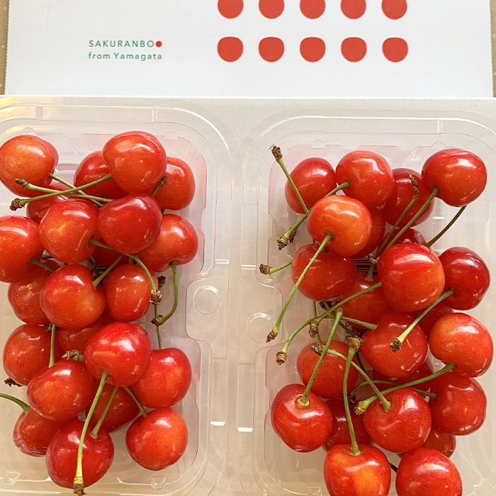 【定期便3回】農家さんおすすめ ～人気くだものトップ３！【令和8年産先行予約】FU23-702