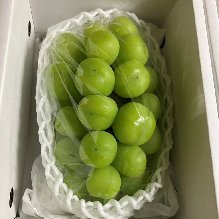 【定期便3回】農家さんおすすめ ～人気くだものトップ３！【令和8年産先行予約】FU23-702