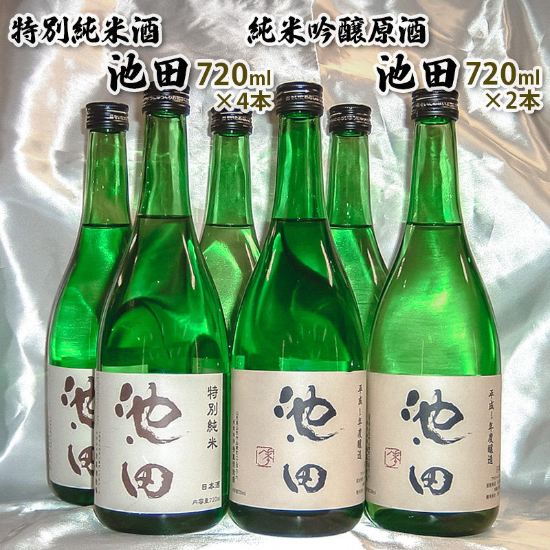 純米吟醸原酒池田 720ml 2本 特別純米酒池田 720ml 4本 合計6本セット FY22-569