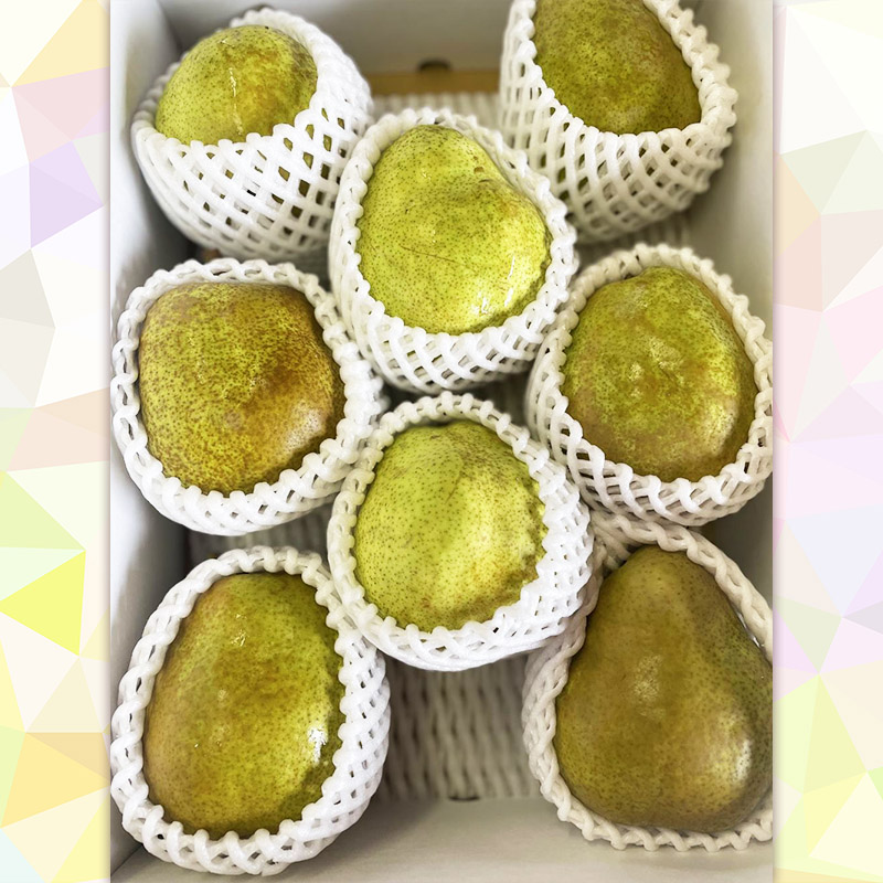 【定期便4回】4種の山形から届く旬のフルーツ定期便 FY25-219
