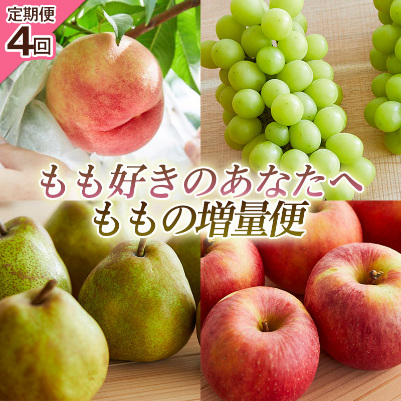 【定期便4回】もも好きのあなたへ ももの増量便 FY25-220