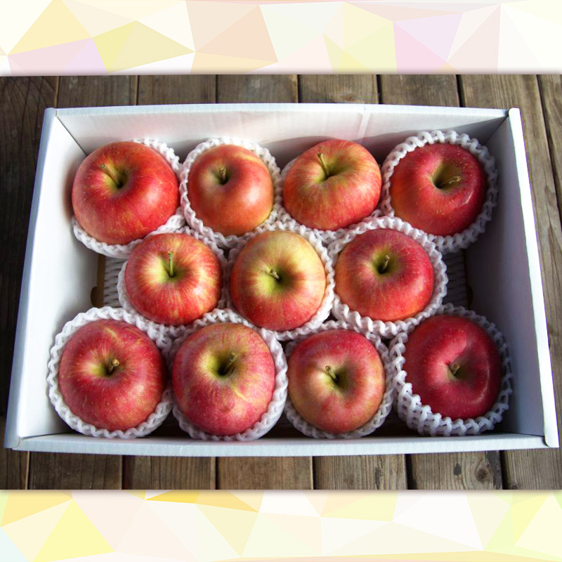 【定期便4回】シャインマスカット好きのあなたへ シャインマスカット増量便 FY25-224