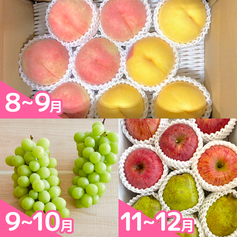 【定期便5回】明治9年にさくらんぼの栽培を開始したやまや園の嬉しい定期便 FY25-256