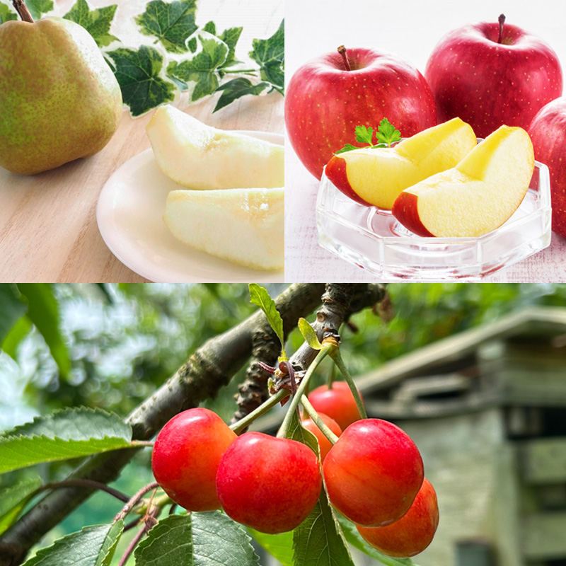 【定期便5回】☆フルーツ王国山形☆『佐藤錦、白桃、すもも、ラ・フランス、りんご』 FY25-321