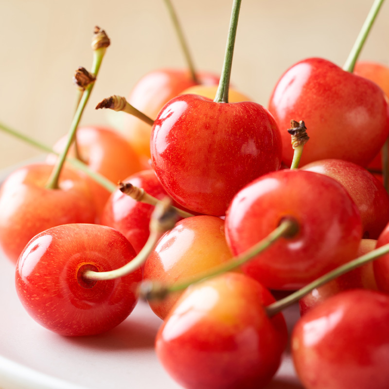 【定期便5回】ノノハナフルーツ 笑顔はなまる定期便 FY25-329