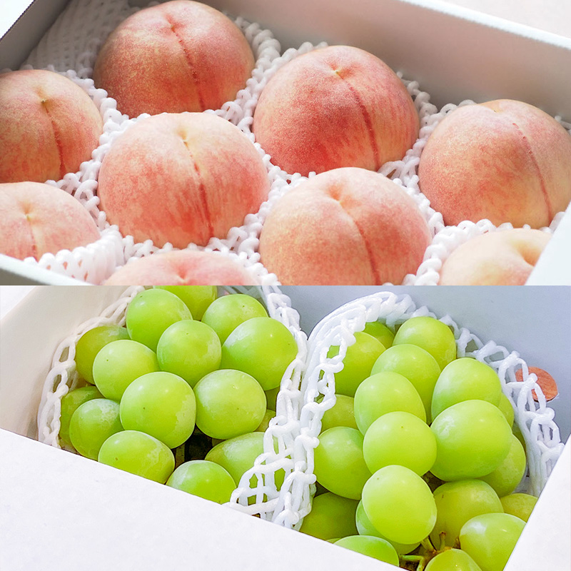 【定期便5回】ノノハナフルーツ 笑顔はなまる定期便 FY25-329