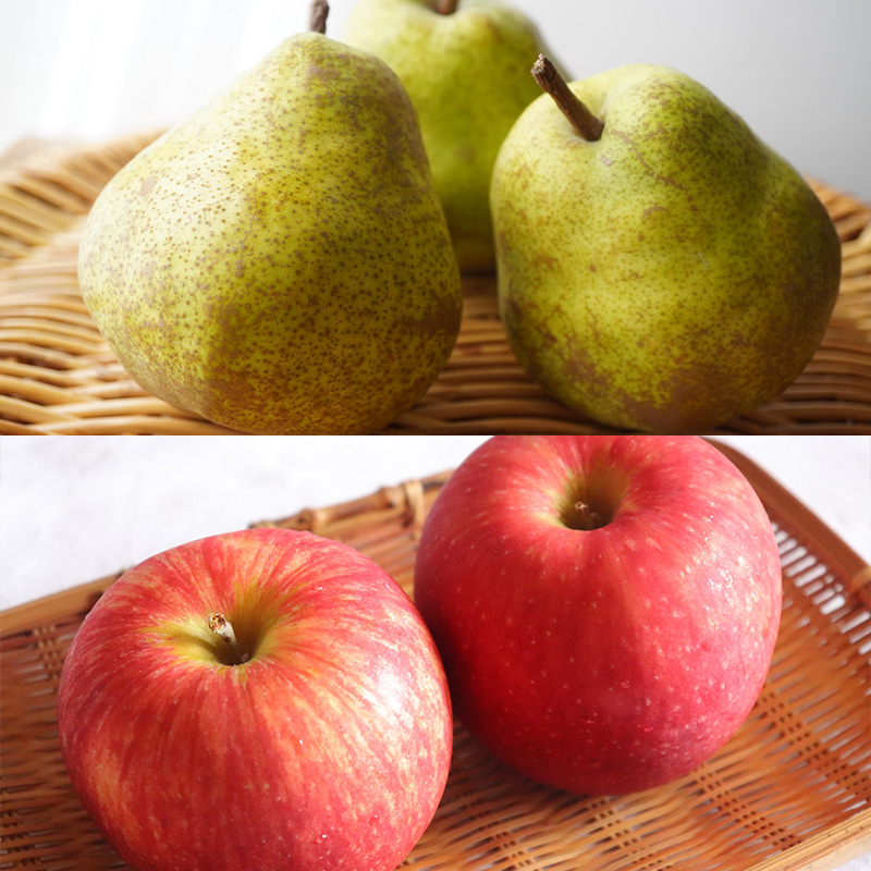 【定期便5回】ノノハナフルーツ 笑顔はなまる定期便 FY25-329