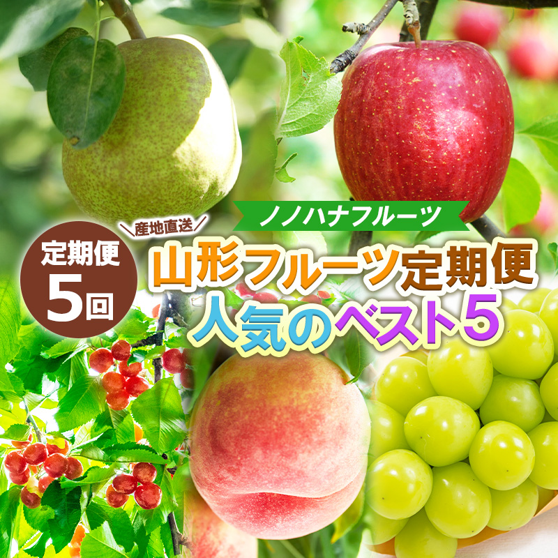 【定期便5回】産地直送 山形フルーツ定期便 人気のベスト5 FY25-331