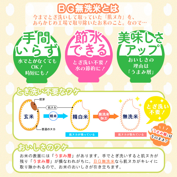 【定期便3回】山形産 【無洗米】 雪若丸 5kg×3ヶ月(計15kg) FY25-443