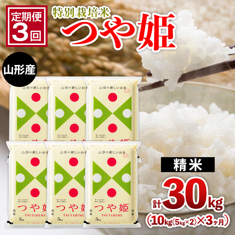【定期便3回】山形産 特別栽培米 つや姫 10kg(5kg×2)x3ヶ月(計30kg) FZ26-771