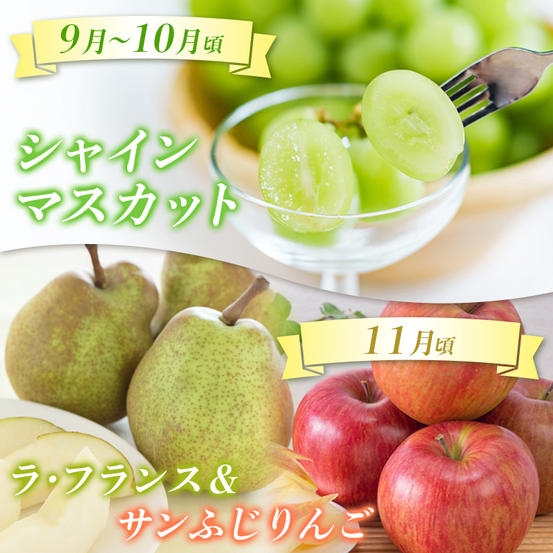 【定期便4回】☆んま～い山形☆5種フルーツ！4回楽しむ！定期便B(さくらんぼ佐藤錦／白桃／シャインマスカット／ラ・フランス／サンふじりんご) FY25-476