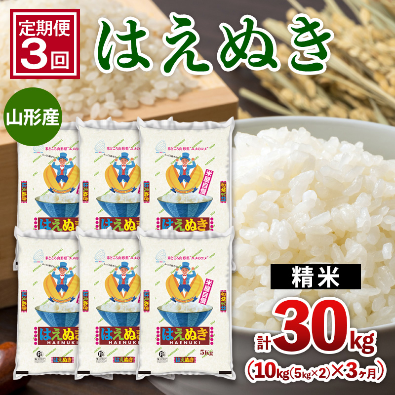 【定期便3回】山形産 はえぬき 10kg(5kg×2)x3ヶ月(計30kg) FZ26-775