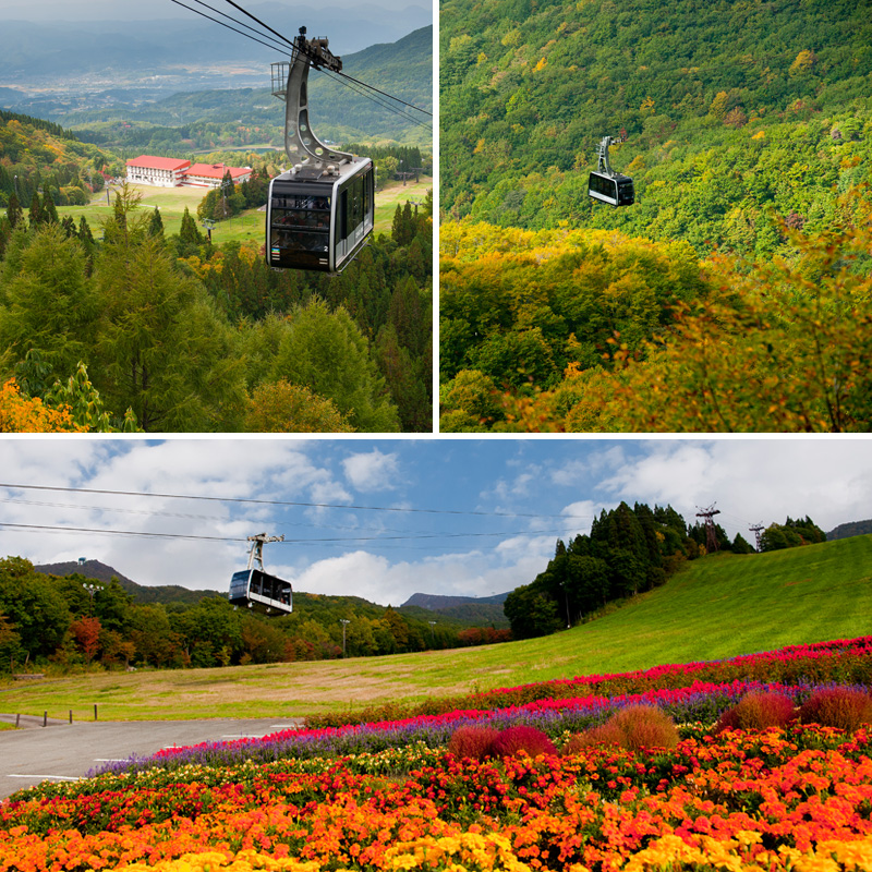 蔵王ロープウェイ乗車券(4区間券)引換券 FZ22-869 蔵王 旅行 山形 山形県 リフト ロープウエイ 樹氷 チケット