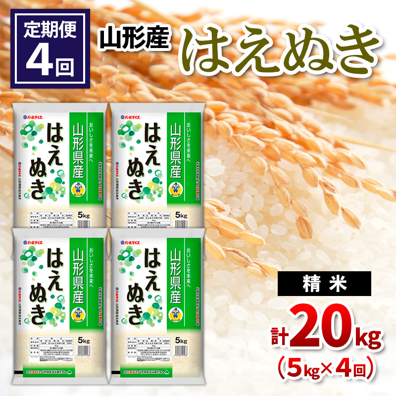 【定期便4回】山形県産 はえぬき 精米 5kg×4回(計20kg) FZ26-849