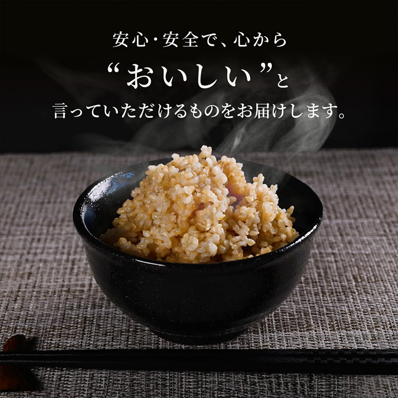 【定期便2回】やまがた玄米パックごはん 150g×9個  (つや姫) ラベルレス 訳あり 山形 パックライス 備蓄 保存 FZ25-167