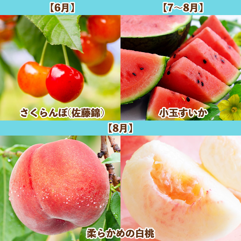 【定期便7回】旬です！YAMAGATA＊FRUIT FZ25-285