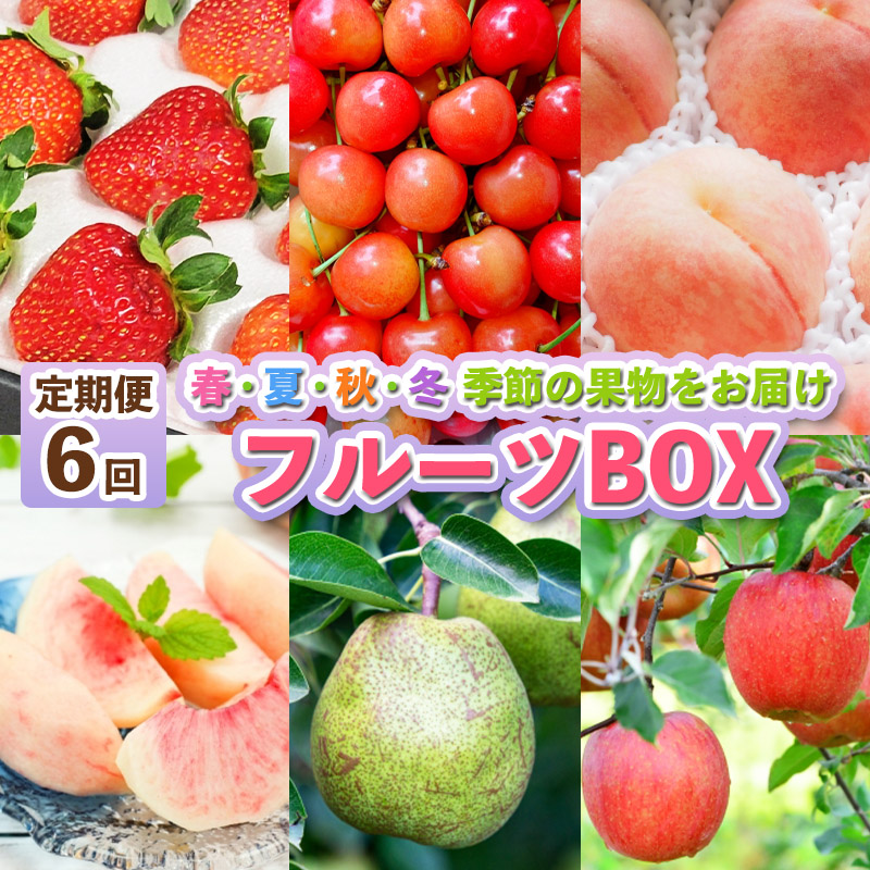 【定期便6回】フルーツBOX  FZ25-287