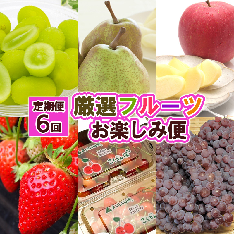 【定期便６回】厳選フルーツお楽しみ FZ25-790