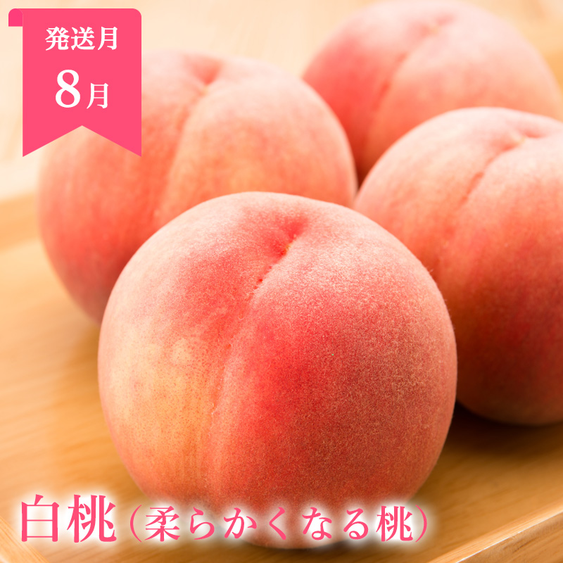å®æäŸ¿5åã山圢ãŸãããšïŒäººæ°ã®ãã ãã®ãã¹ã5 FZ25-958