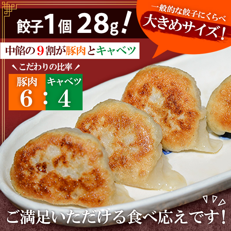 豚のジューシー餃子 9個入り×10袋(計90個) FZ26-735