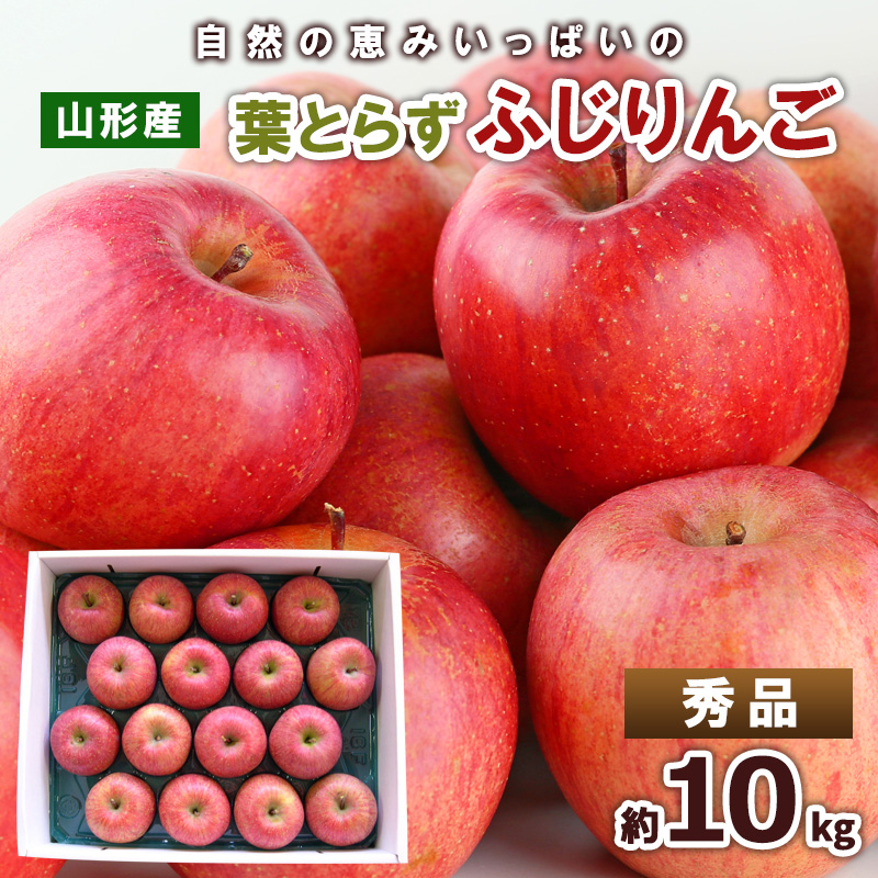 自然の恵みいっぱいの葉とらずふじりんご 約10kg(46～50個入) FY25-922