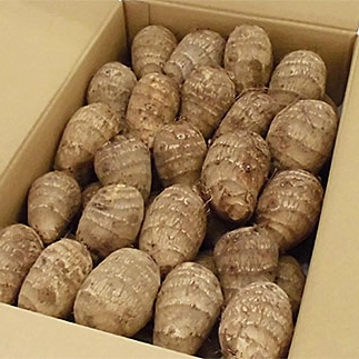 山形市の伝統野菜 村木沢の「悪戸いも」ねっとり食感里芋 2kg FZ26-870