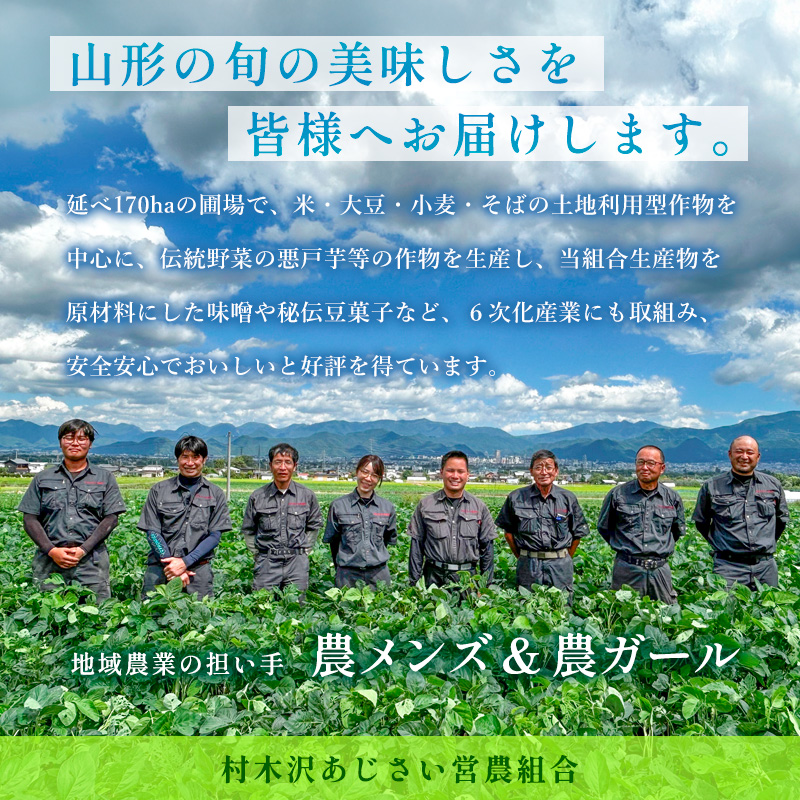 【令和8年産新米】山形市村木沢産つや姫玄米 10kg FZ26-872