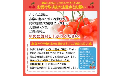 山形県産 さくらんぼ 紅秀峰 1kg バラ詰め FY26-072