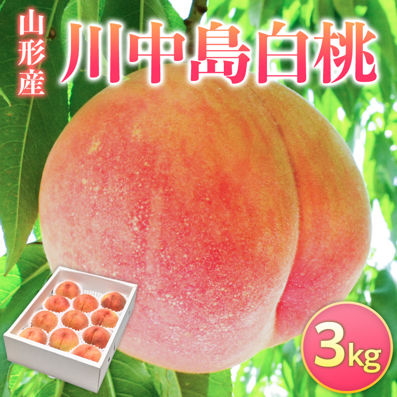 山形県産 川中島白桃 3kg FY26-074