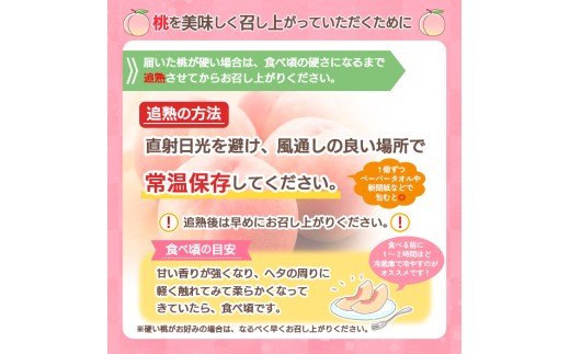 山形県産 川中島白桃 3kg FY26-074