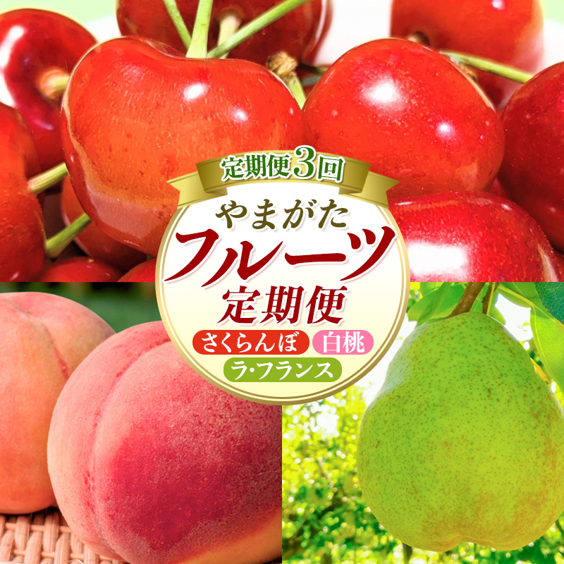 【定期便3回】やまがたフルーツ定期便 さくらんぼ /白桃/ラフランス FY26-075