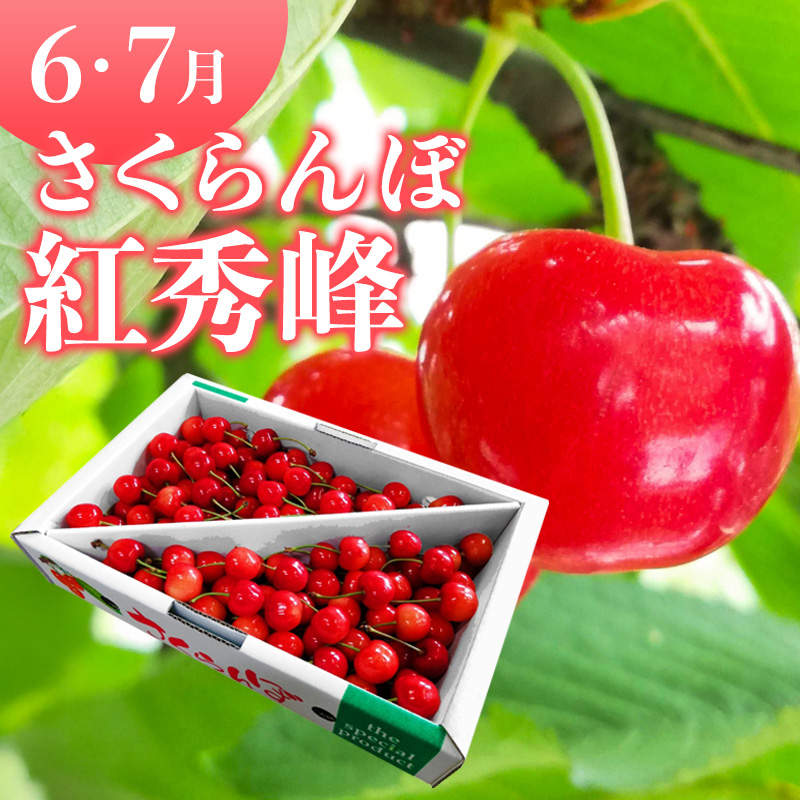 【定期便3回】やまがたフルーツ定期便 さくらんぼ /白桃/ラフランス FY26-075