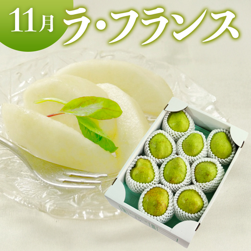 【定期便3回】やまがたフルーツ定期便 さくらんぼ /白桃/ラフランス FY26-075