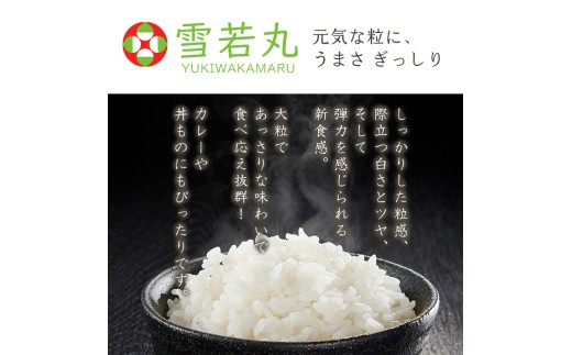 令和8年産 山形産 雪若丸 5kg FY26-033