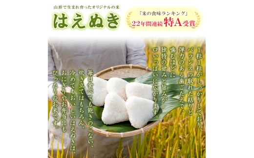 【定期便3回】令和8年産 山形産 はえぬき 5kg×3ヶ月(計15kg) FY26-035