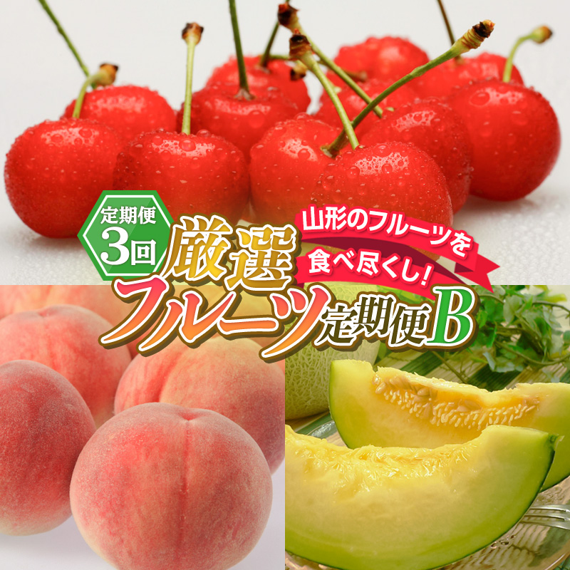 【定期便3回】山形のフルーツを食べ尽くし！厳選フルーツ定期便B FY26-064