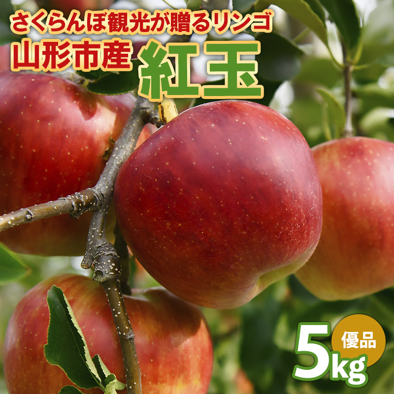 さくらんぼ観光が贈るリンゴ  紅玉 こうぎょく 優 5kg  FY26-040
