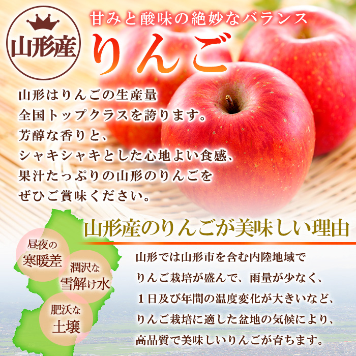 さくらんぼ観光が贈るリンゴ  紅玉 こうぎょく 優 5kg  FY26-040