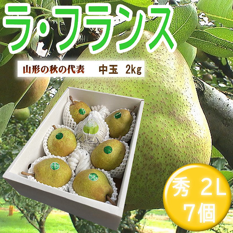 山形特産ラフランス 特秀2L 7個 FY26-070