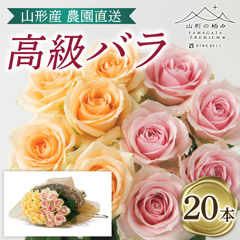 山形産農園直送高級バラ 20本 FZ26-743