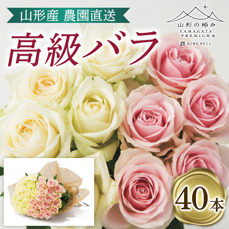 山形産農園直送高級バラ 40本 FZ26-742