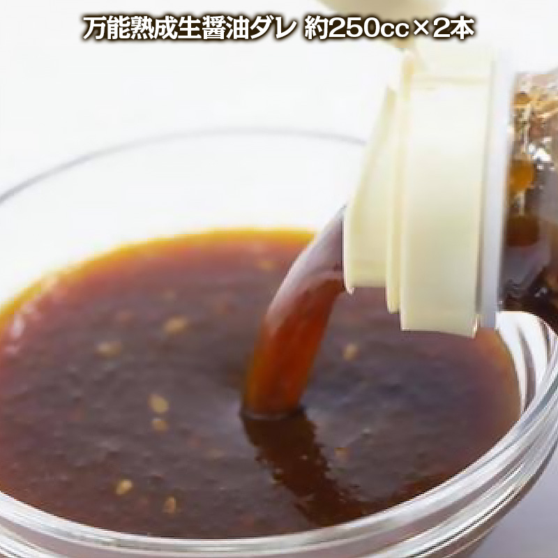 やたら売れてる焼肉屋の山形牛入りハンバーグ1.2kg(120g×10)と万能熟成生醤油ダレ(2本)セット FY25-266