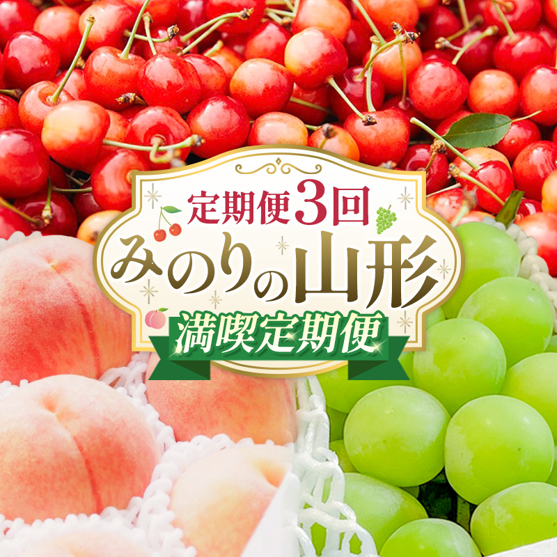 【定期便3回】みのりの山形～満喫定期便～ くだもの 果物 フルーツ 山形 山形県 山形市 FY23-905