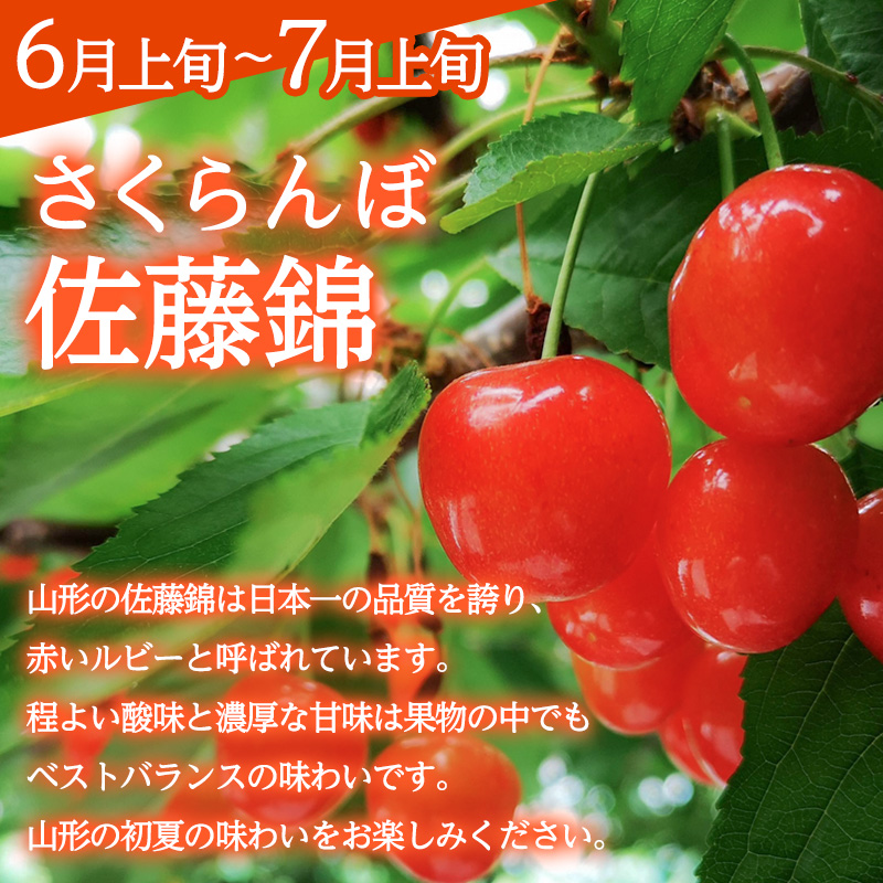 【定期便3回】みのりの山形～満喫定期便～ くだもの 果物 フルーツ 山形 山形県 山形市 FY23-905