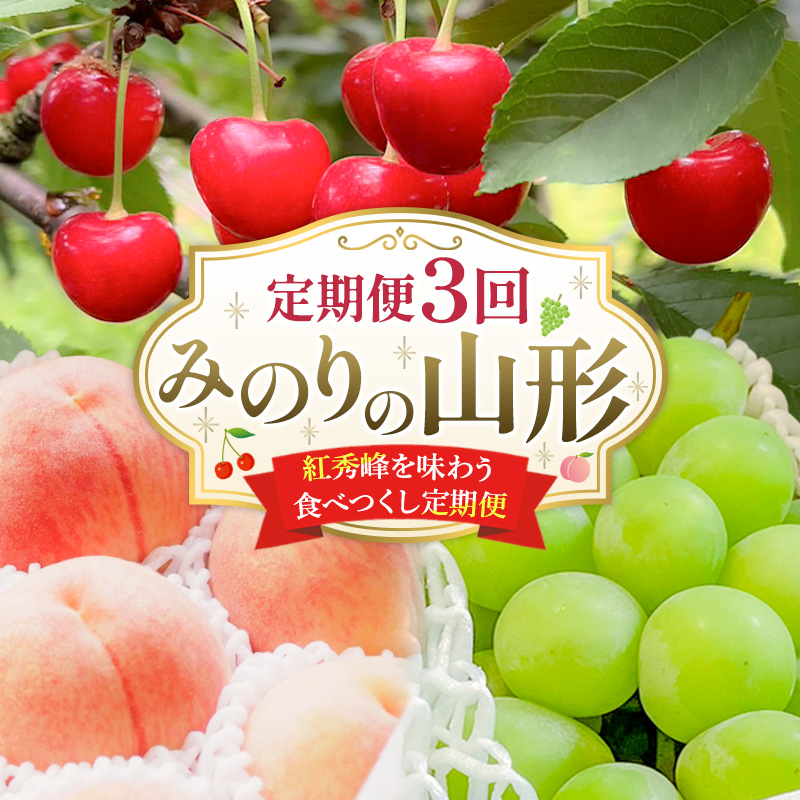 【定期便3回】みのりの山形～紅秀峰を味わう食べつくし定期便～ くだもの 果物 フルーツ 山形 山形県 山形市 FY23-907